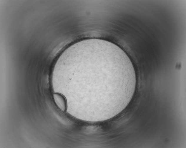 X0000111800251200908131443