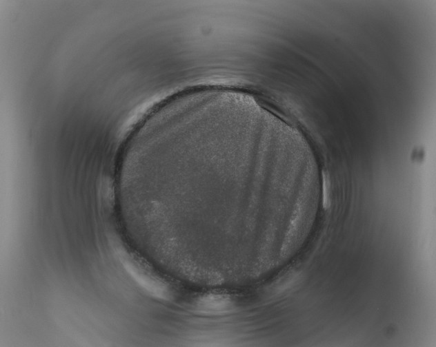 X0000111800252200908131443