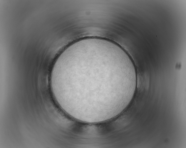 X0000111800253200908131443