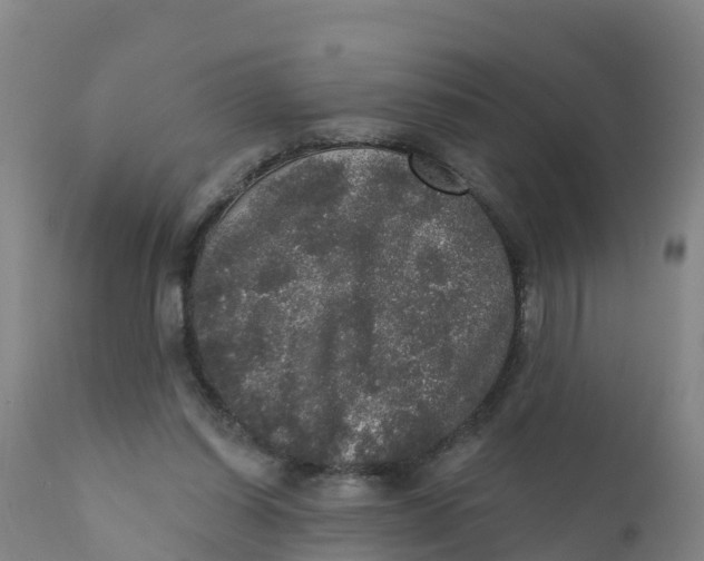 X0000111800254200908131443