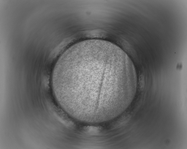 X0000111800255200908131443