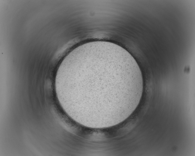 X0000111800256200908131443