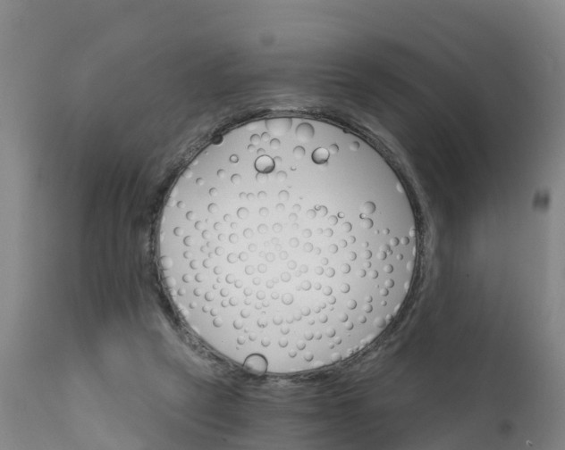 X0000111800257200908131443
