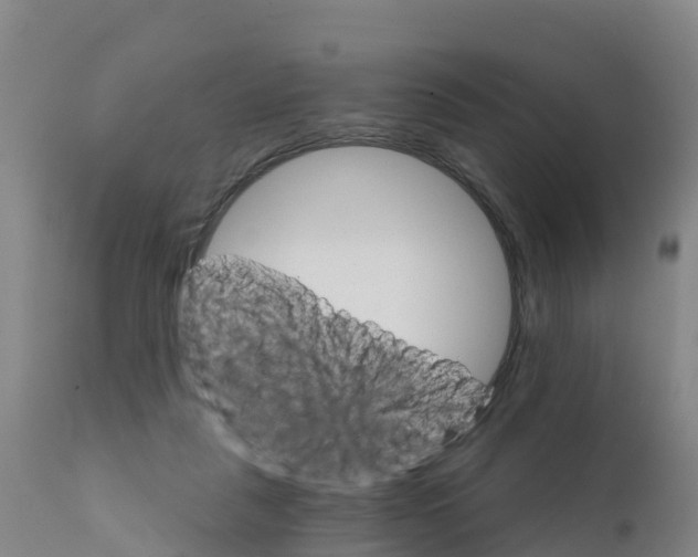 X0000111800259200908131443