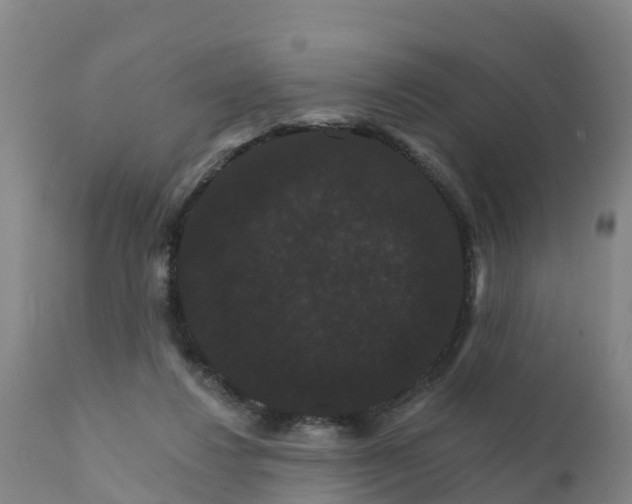 X0000111800260200908131443