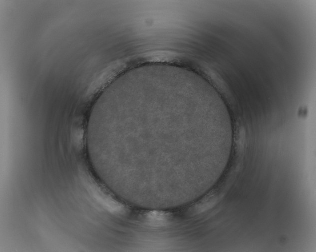 X0000111800261200908131443