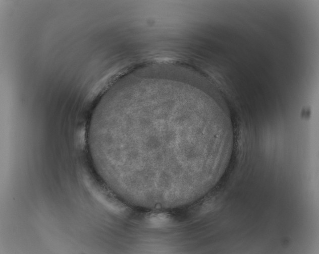 X0000111800262200908131443