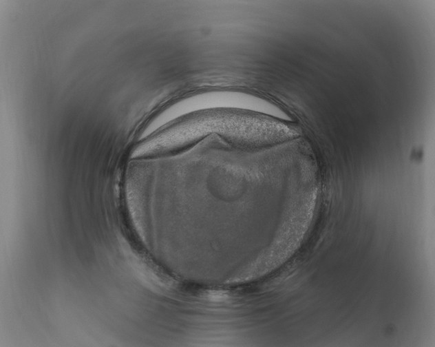 X0000111800264200908131443