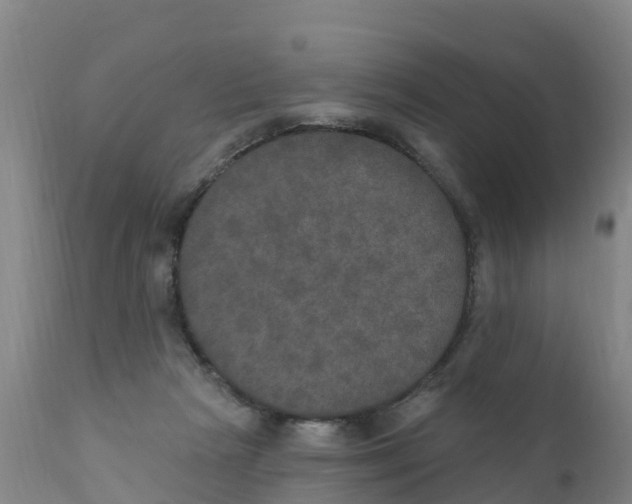 X0000111800265200908131443