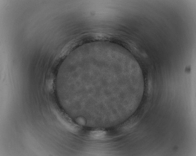X0000111800266200908131443