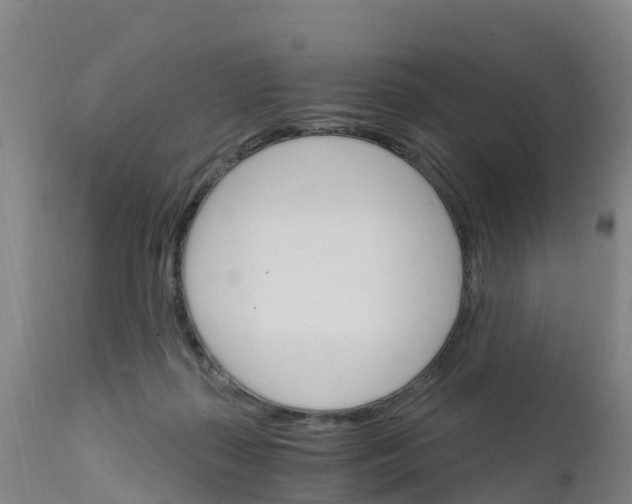 X0000111800267200908131443