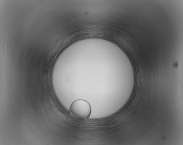 X0000111800268200908131443