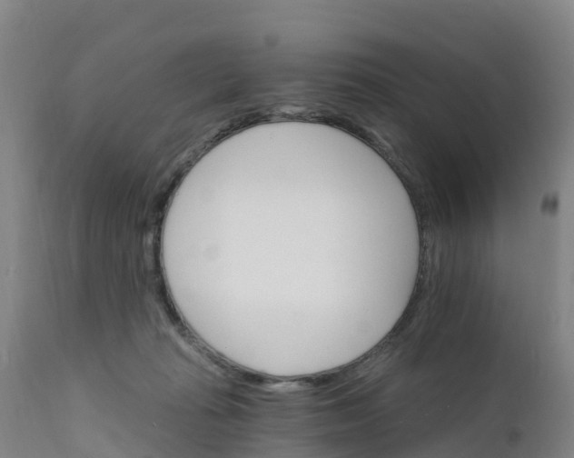 X0000111800269200908131443