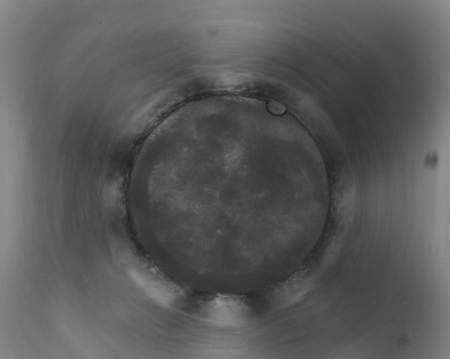 X0000111800270200908131443