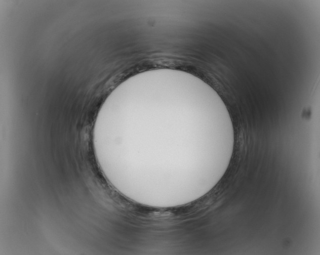 X0000111800271200908131443