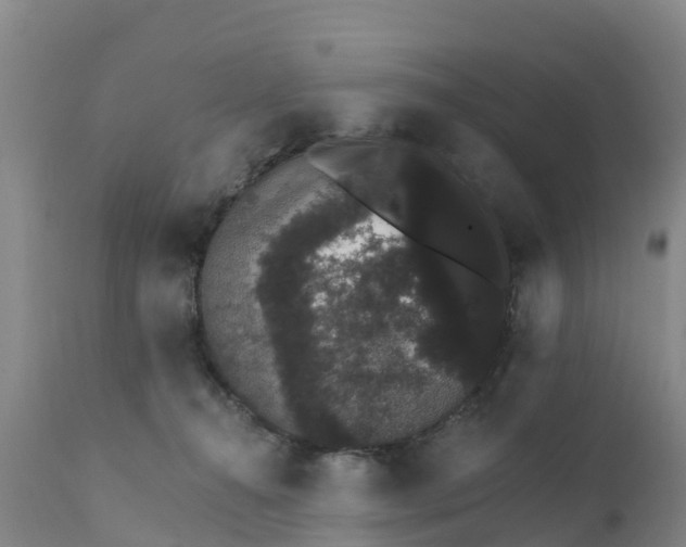 X0000111800272200908131443