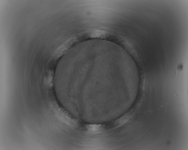 X0000111800273200908131443