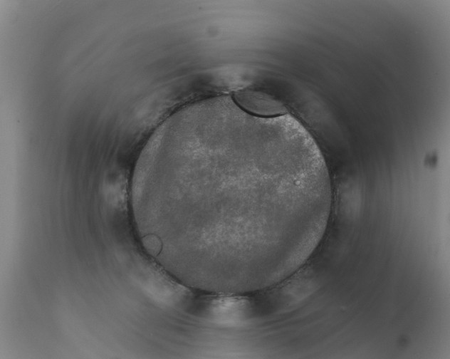 X0000111800274200908131443