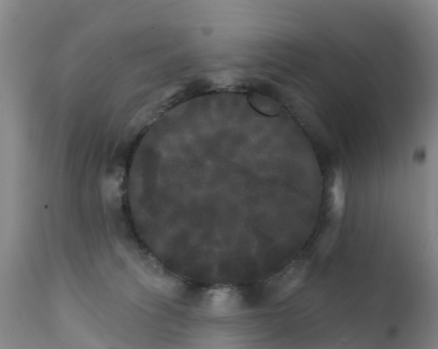 X0000111800275200908131443