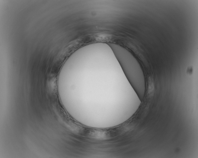 X0000111800276200908131443