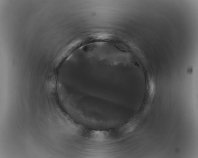 X0000111800277200908131443