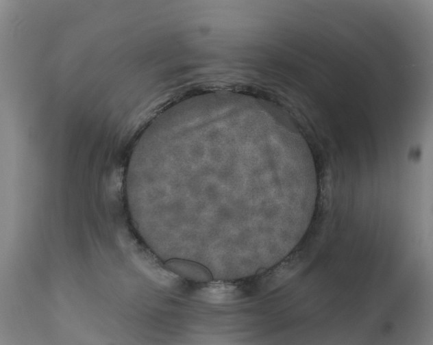 X0000111800278200908131443