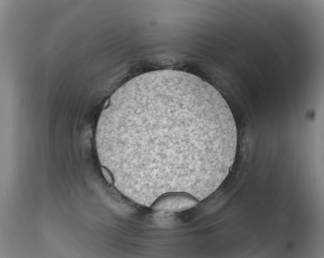 X0000111800279200908131443