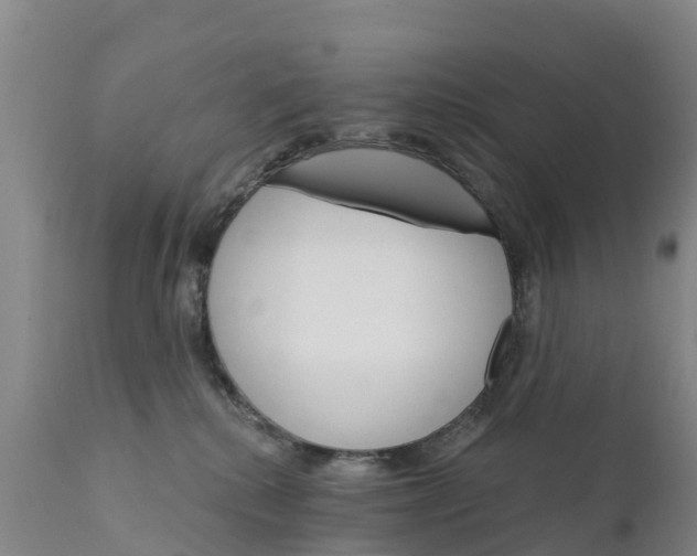 X0000111800280200908131443