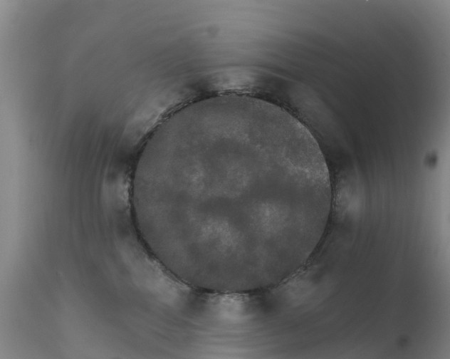 X0000111800282200908131443