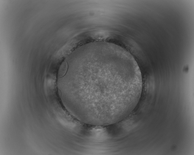 X0000111800283200908131443