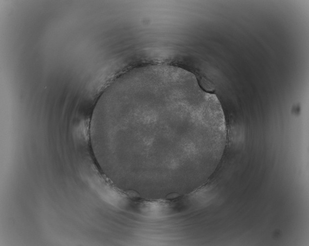 X0000111800286200908131443