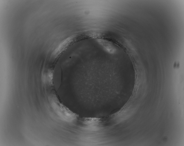 X0000111800288200908131443