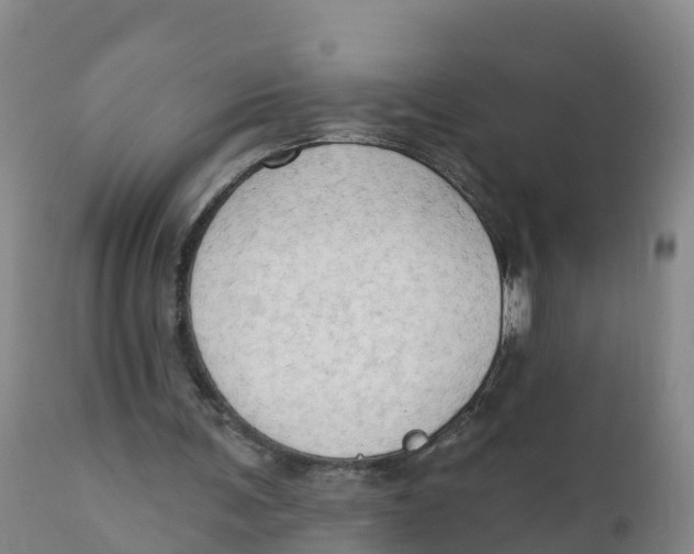 X0000111800291200908131442