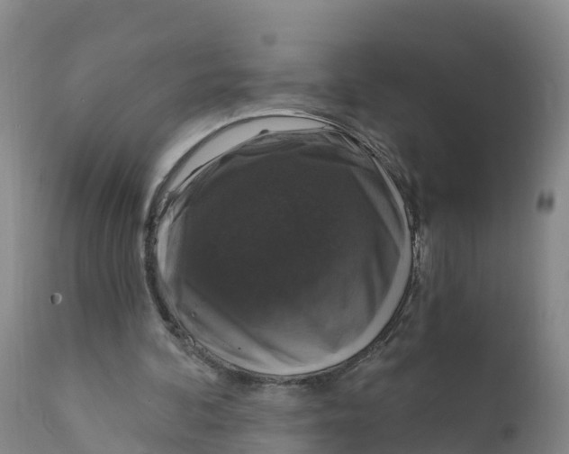 X0000111800292200908131442