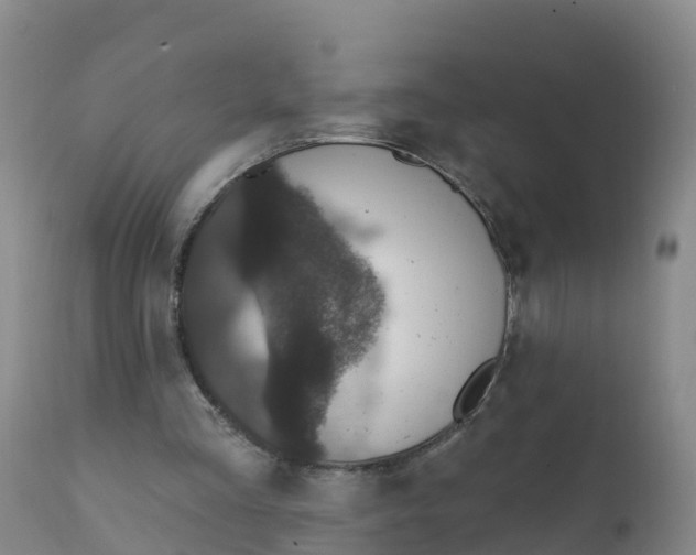 X0000111800293200908131442