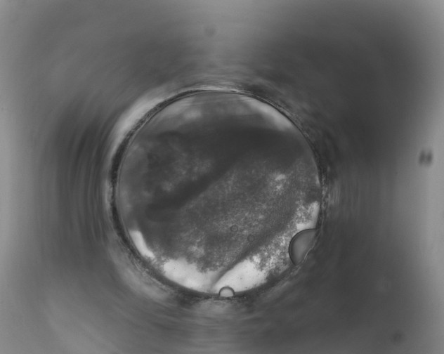 X0000111800294200908131442