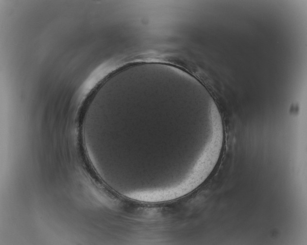 X0000111800295200908131442