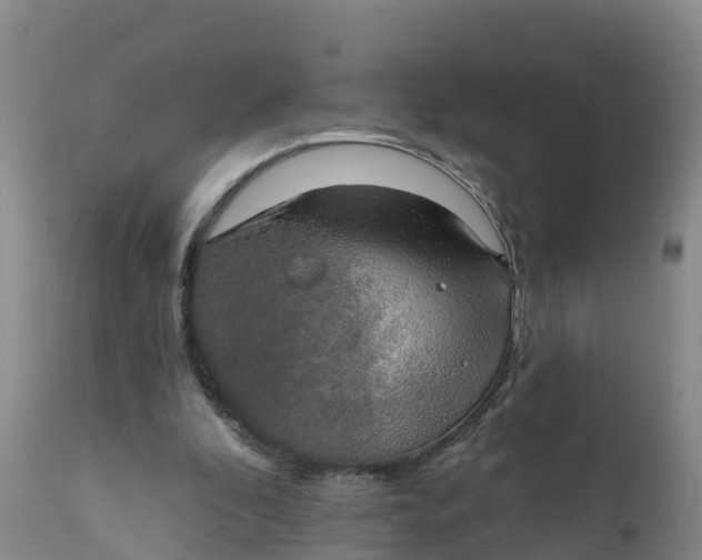 X0000111800296200908131442