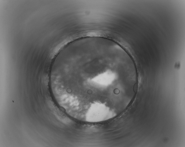 X0000111800297200908131442