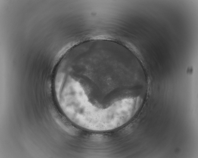 X0000111800298200908131442