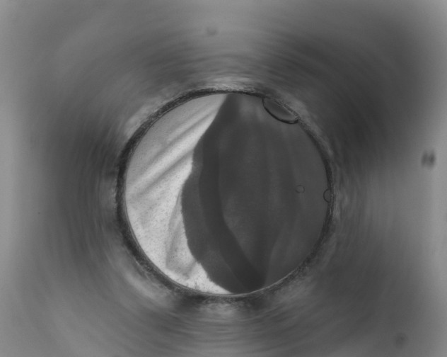 X0000111800299200908131442