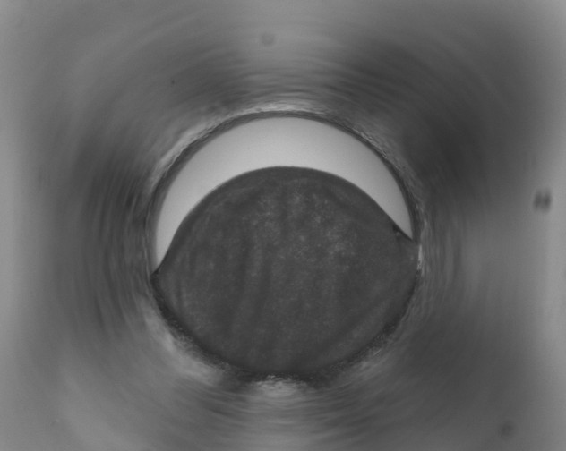 X0000111800300200908131442