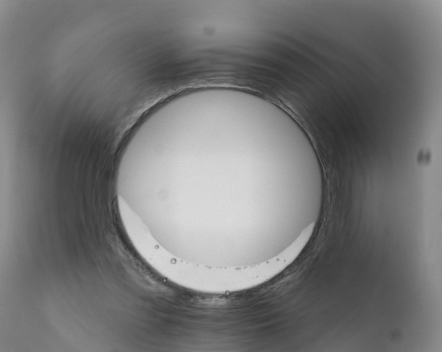 X0000111800301200908131442