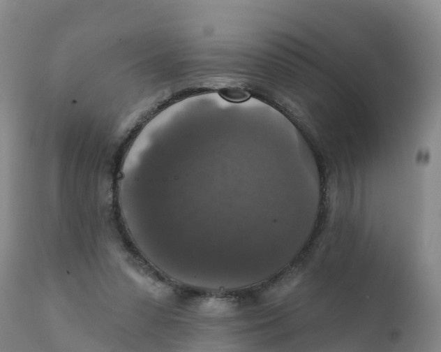 X0000111800303200908131442