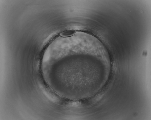 X0000111800304200908131442
