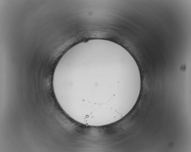 X0000111800305200908131442