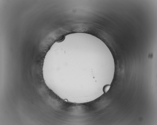 X0000111800307200908131442