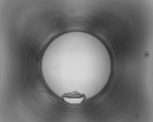 X0000111800308200908131442