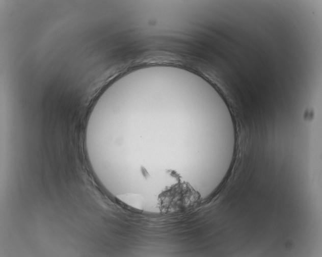 X0000111800309200908131442