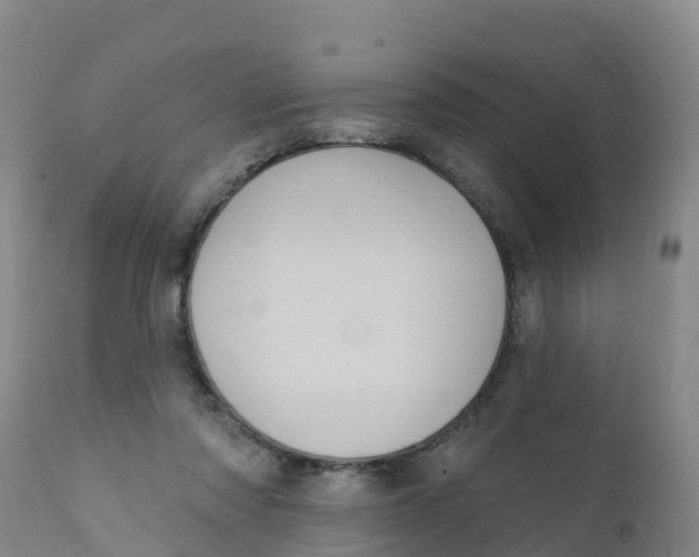 X0000111800310200908131442